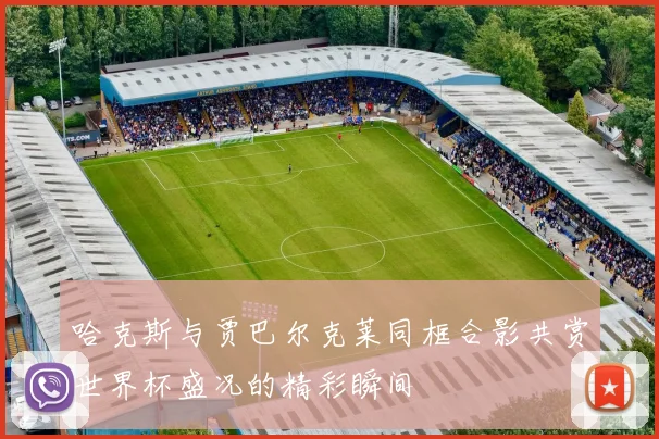 哈克斯与贾巴尔克莱同框合影共赏世界杯盛况的精彩瞬间